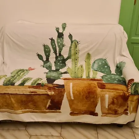 Casa Cactus Sapiddu * Palermo