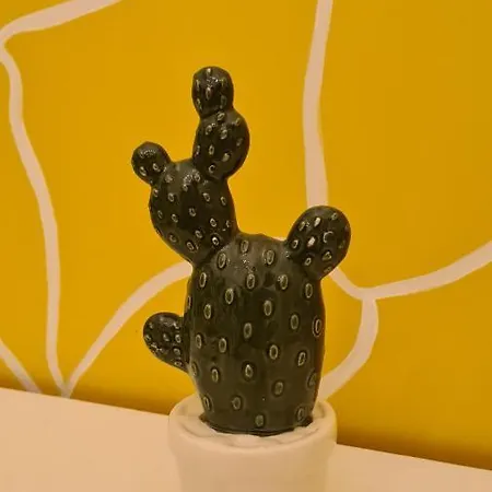 Casa Cactus Sapiddu