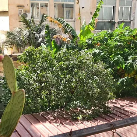 Casa Cactus Sapiddu * Palermo